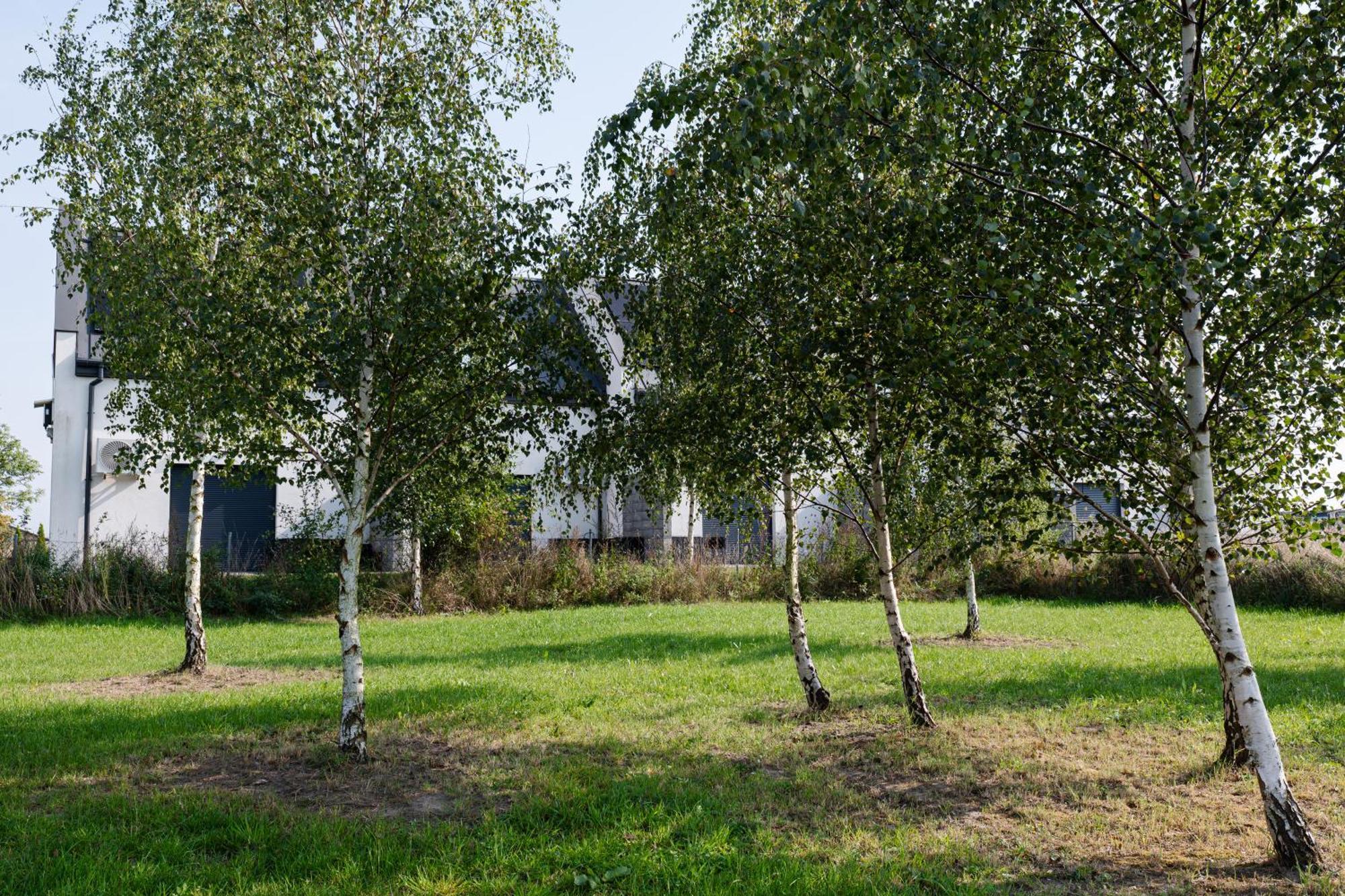 Nowe Apartamenty Ostoja - Nad Baltykiem - Cisza I Piekno Natury Zastan Exterior photo